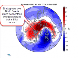Predicted stratospheric temperature profile for January 29, 2017, just after a predicted SSW occurred. Image courtesy of Dr. Judah Cohen and Atmospheric and Environmental Research.