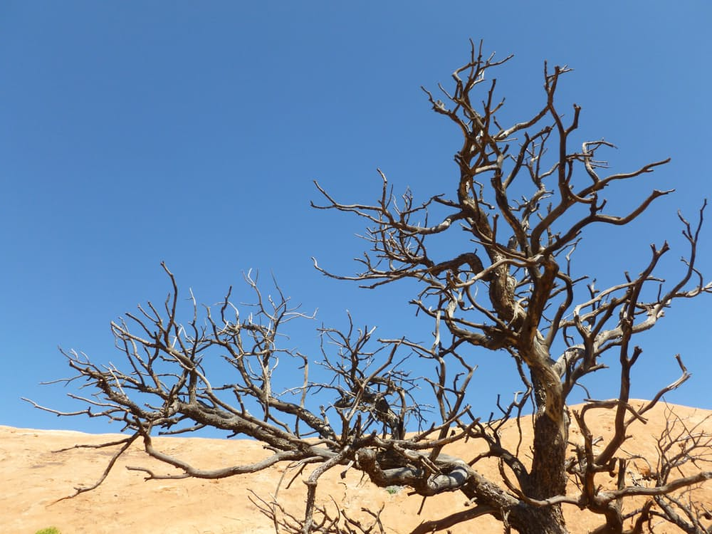 content uploads agri drought report content uploads agri drought report