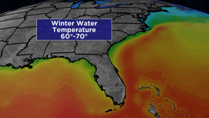 A warm ocean surrounds the Florida Peninsula and can often limit how cold the state will get in all but the right wind conditions.