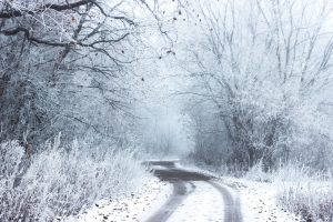While the Eastern United States is driving through the middle of January on a mild note, weather events around the world are signaling a significant cool-down as we head into February.