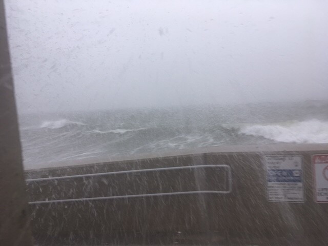 Short Beach; 50 mph winds blasting in from the east into heavy snow on the sea wall. Photo: Weatherboy
