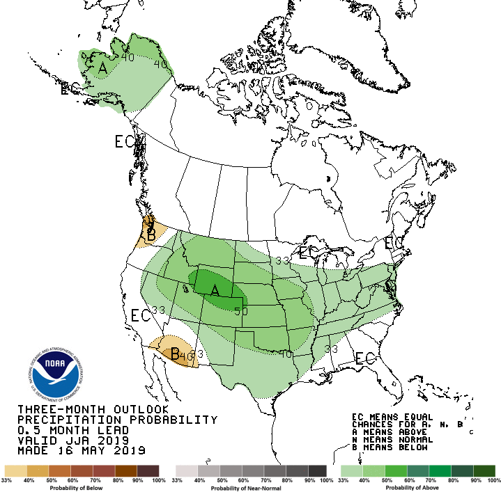 The summer of 2019 is projected to be a wet one, with much of the country seeing precipitation at or above normal levels. Image: NOAA