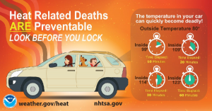 The National Weather Service has embarked on a "Look before you lock" campaign to make sure you don't leave behind any children or pets when you lock your car. Image: NWS