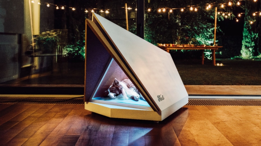 Ford is using technology developed for its cars in a new way to shield pets from loud noises like thunder that could scare them. Image: Ford