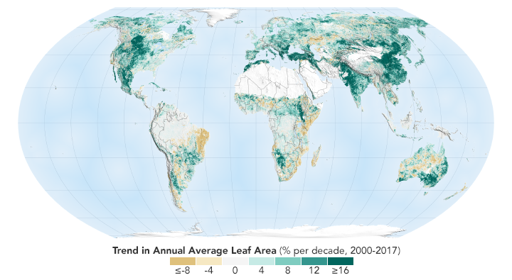 Data collected by Earth observing satellites, NASA's Terra and Aqua, show there's been significant expansion of "leaf area" throughout the world, with China and India leading the growth. Image: NASA