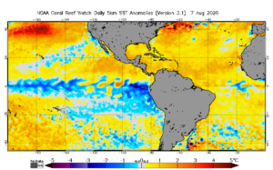 Current sea surface temperatures are unusually warm across the entire Atlantic, with water temperatures well above normal across the north Atlantic along and east of the New England coast. Image: NWS